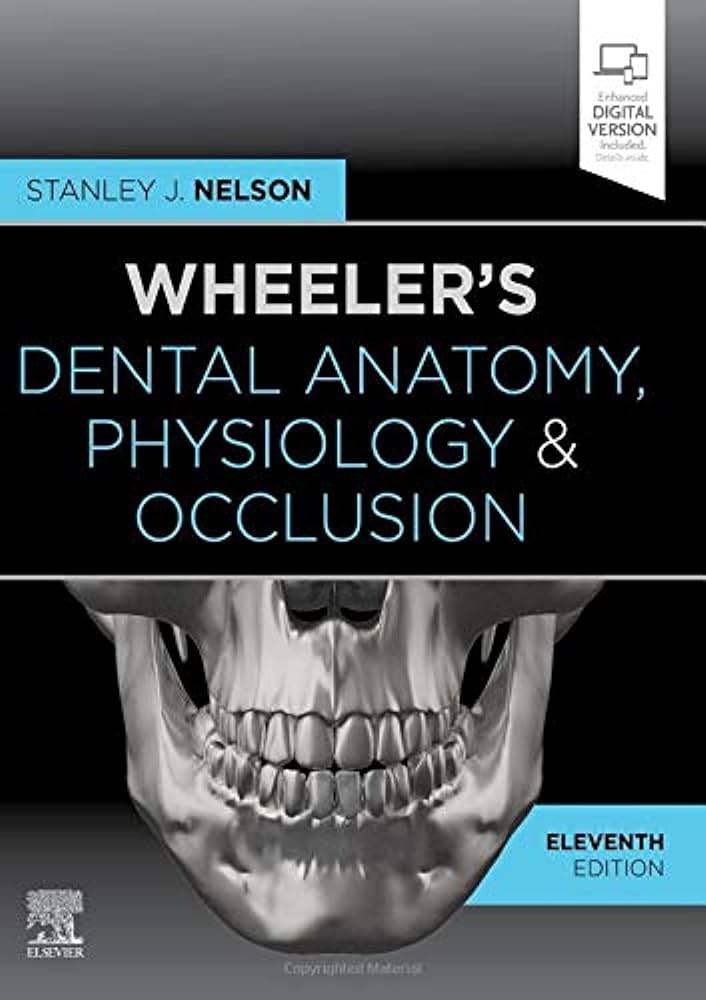 Wheelers Dental Anatomy Physiology & Occlusion